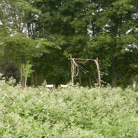 Bed & Breakfast Faehrhaus Am Rhein By Mayburgh