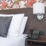 Faehrhaus Am Rhein By Mayburgh 3* Дюссельдорф