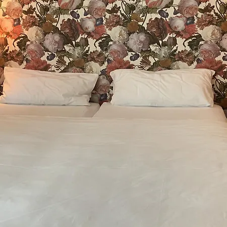 Faehrhaus Am Rhein By Mayburgh 3* Düsseldorf