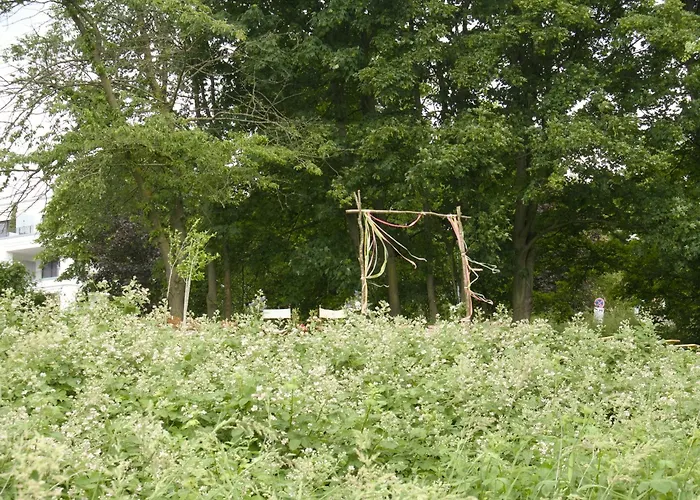 Bed and breakfast Fährhaus Am Rhein By Mayburgh